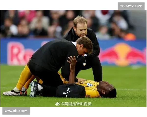 从文学形象与社会争议看如何理解维尔贝克黑贝这一称号的深层意涵