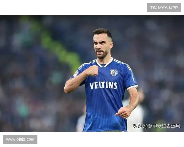 如何分析法尔范在沙尔克04的场上位置和作用发挥